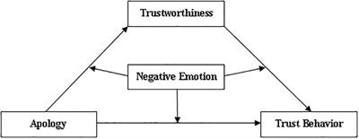 Apologies Repair Trust via Perceived Trustworthiness and Negative Emotions